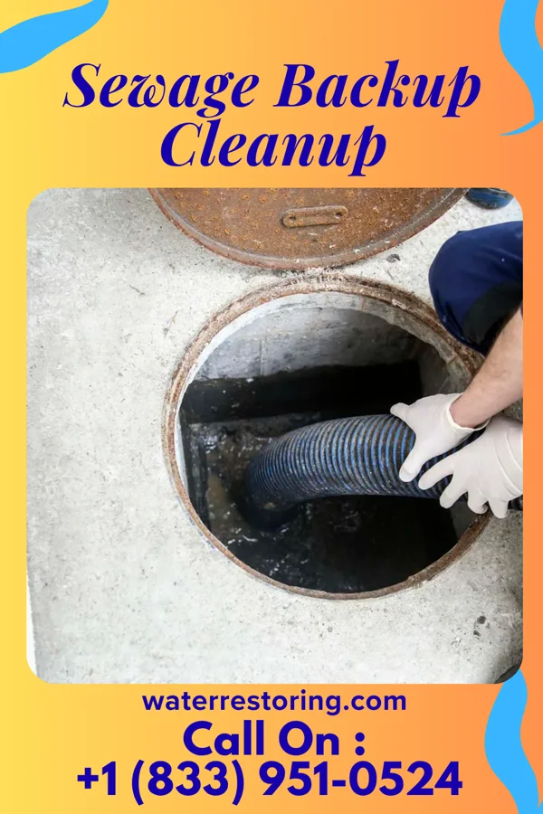 Sewage Backup Cleanup in Bancroft, MI